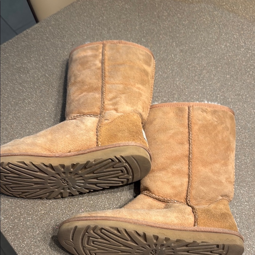 Ugg Tan Suede Boots